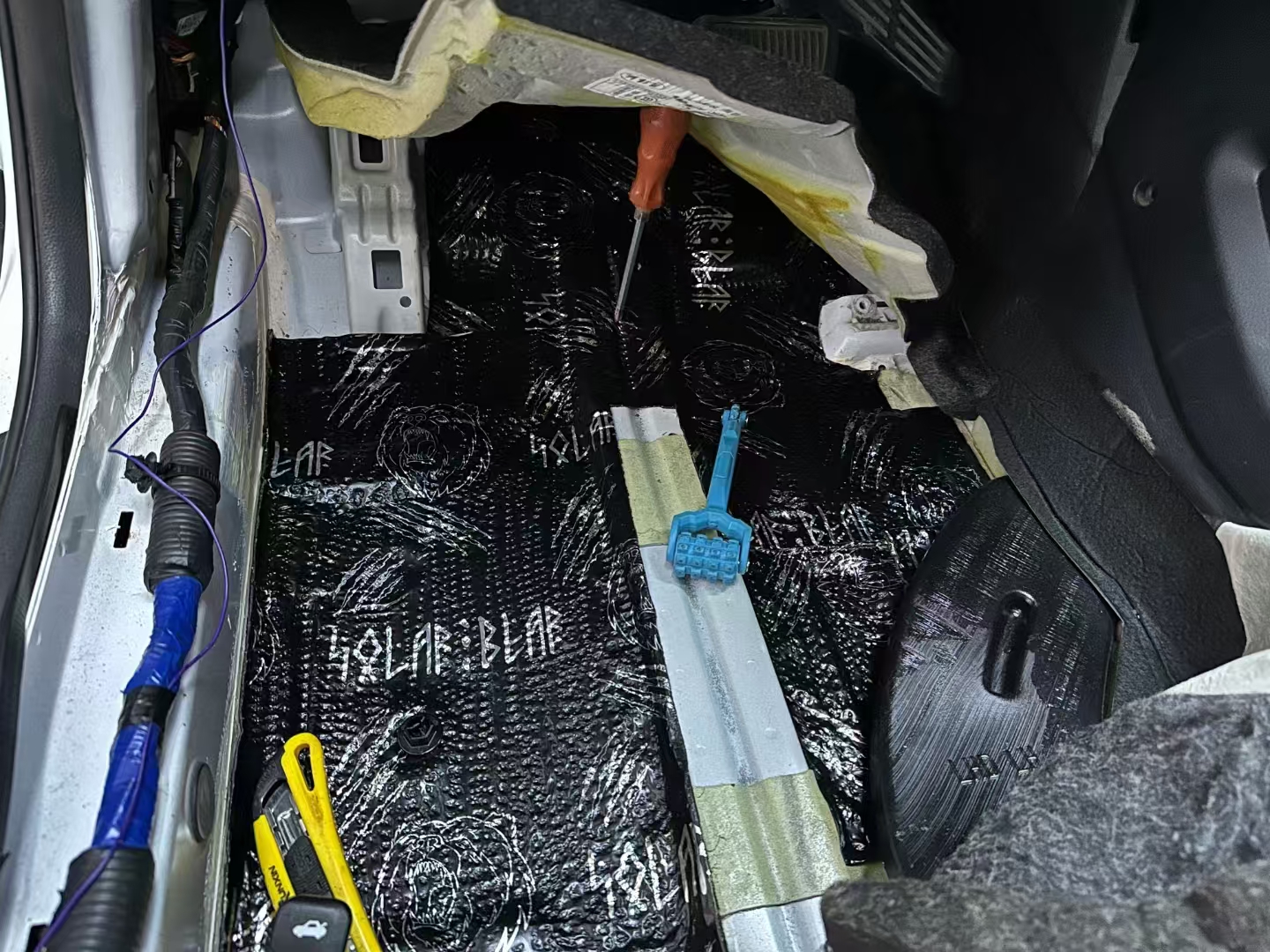 1724637738465697.jpg 前脚踏位北冰熊.jpg