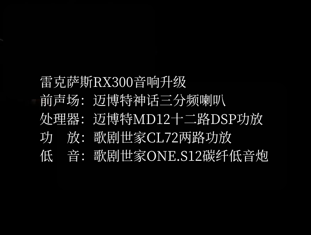 雷克萨斯RX300配置图.png